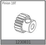 AB-1230831 - Motor pinion 19Z