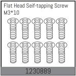 AB-1230889 - M310 countersunk screws. self-tapping (10)