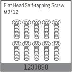 AB-1230890 - M312 countersunk screws. self-tapping (10)