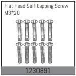 AB-1230891 - M320 countersunk screws. self-tapping (10)