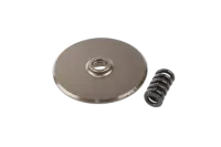 ARA310011 - Slipperscheibe. Druckfeder. 2-teilig