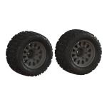 ARA-1553 - dBoots Katar Tire Set Glued