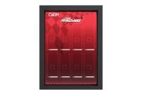 CDPF0004 - CaDA Display Frame 1_48