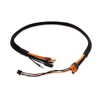 SPMXCA329 - Pro Series Race 2s Charge Cable: IC3_5mm